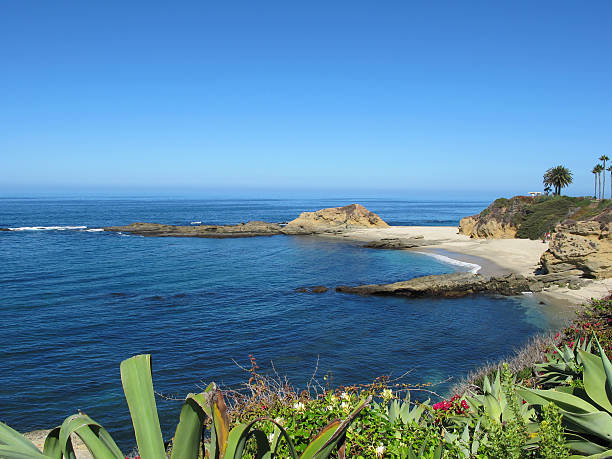 istock Beautiful Laguna Beach, California 452729661