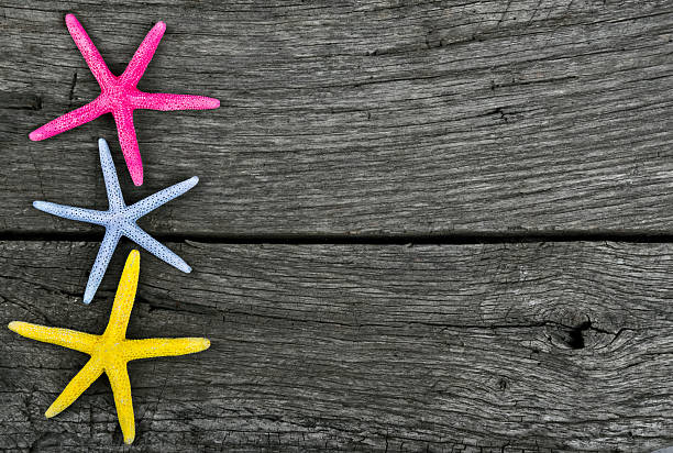 istock starfish frame on vintage old wood 452739367