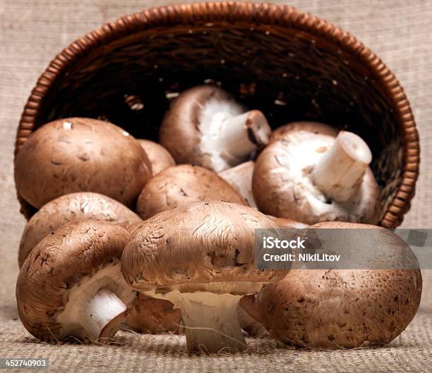 Portabello Funghi - Fotografie stock e altre immagini di Alimentazione sana - Alimentazione sana, Attività, Beige