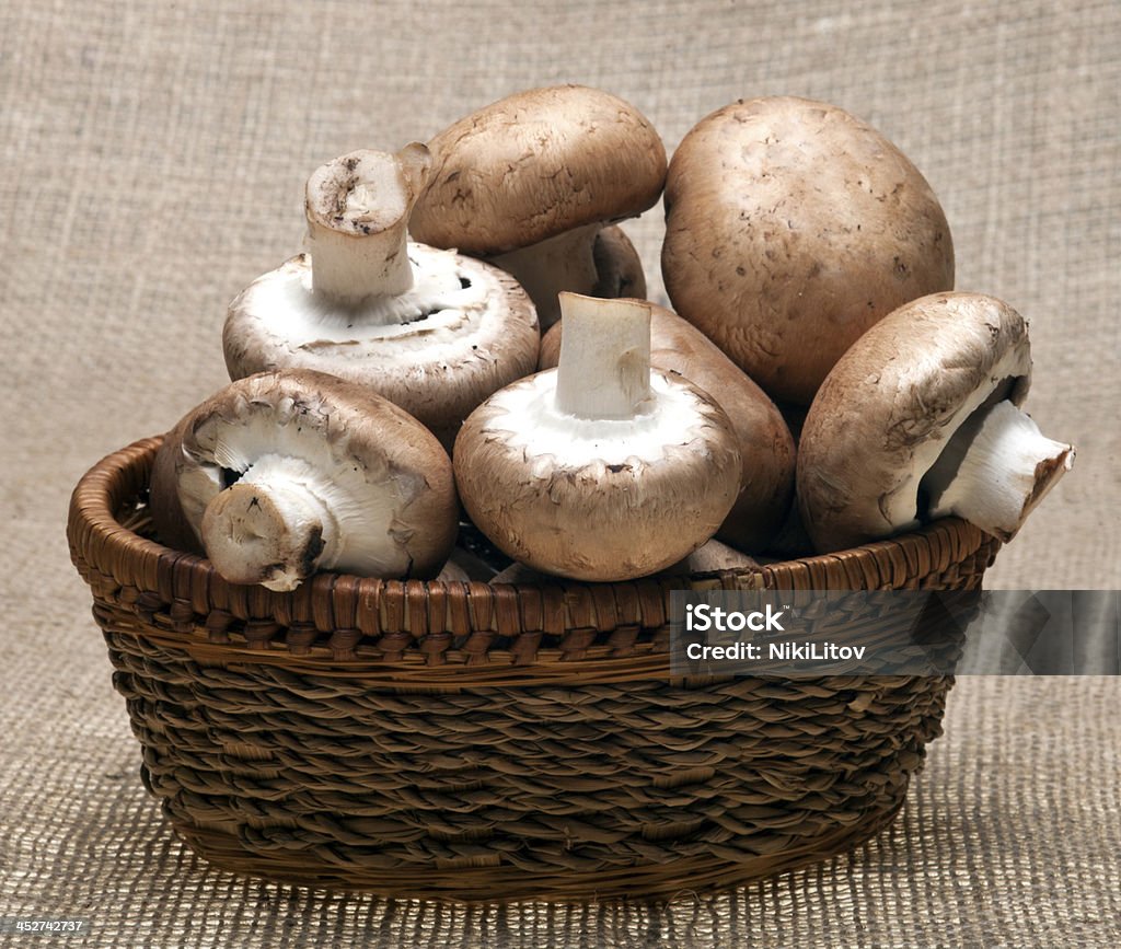 Portabello грибами - Стоковые фото Бежевый роялти-фри