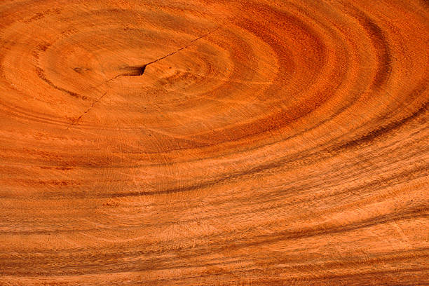 istock Wood for industrial applications. 452743197