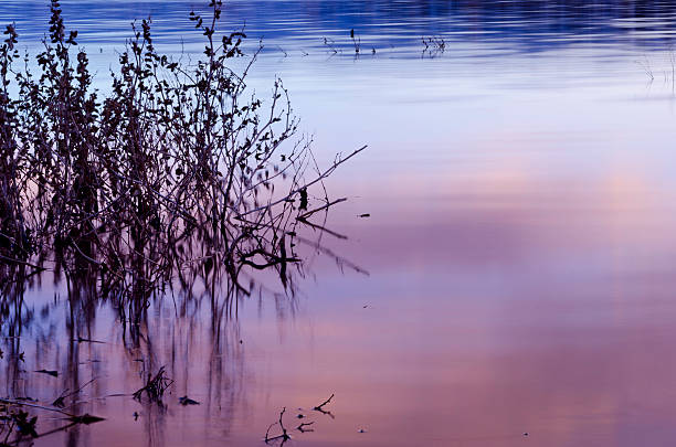 Pastel Calming Waters stock photo