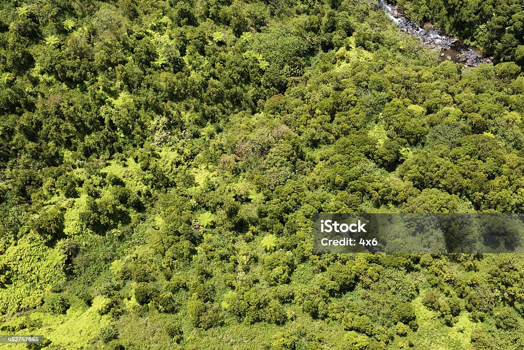 Arial Vista della costa Napali-Isola di Kauai, Hawaii - Foto stock royalty-free di Abbondanza