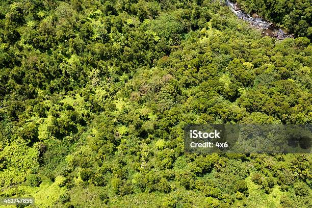 Vista Do Arial Napali Coastkauai Havaí - Fotografias de stock e mais imagens de Abundância - Abundância, América do Norte, Ao Ar Livre