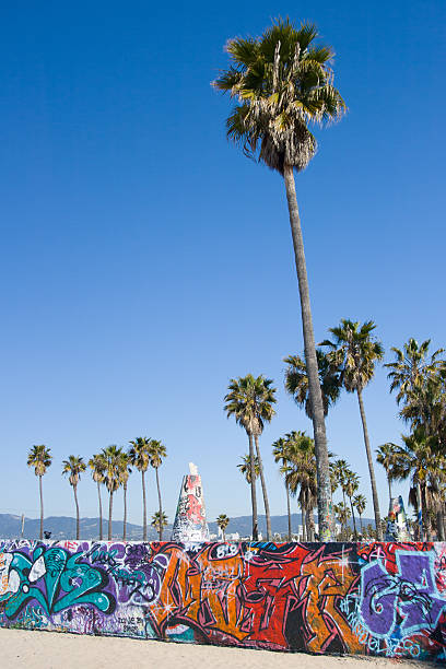 venice beach graffiti - palm tree california city of los angeles venice beach - fotografias e filmes do acervo