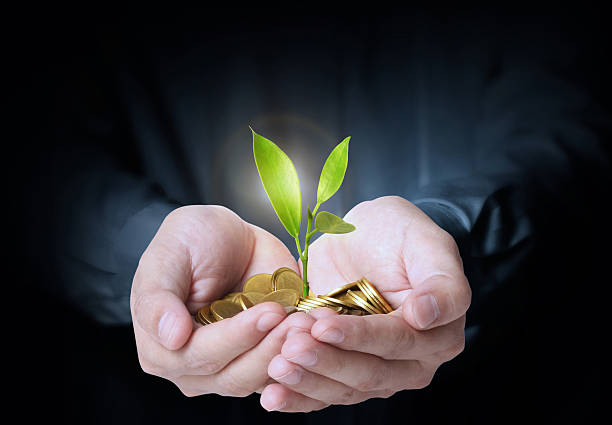 istock holding plant sprouting from a handful of coins 452755877