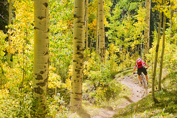 istock mountain biking woman 452760513