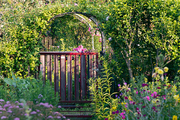 istock Flowers in the Garden 452760927