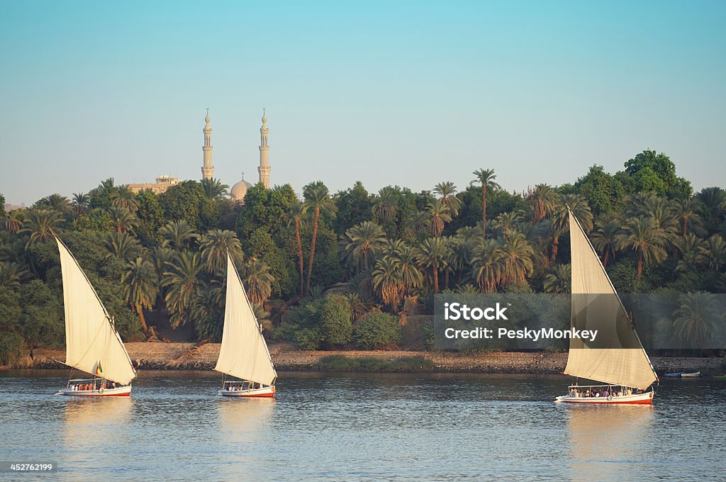 Egyptian Felucca Sailboats Sail on the Nile River Aswan Eygpt Egyptian felucca sailboats sail into the setting sun on the Nile River in Aswan Egypt Nile River Stock Photo