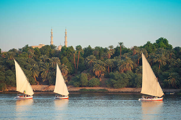 Egyptian Felucca Sailboats Sail on the Nile River Aswan Eygpt Egyptian felucca sailboats sail into the setting sun on the Nile River in Aswan Egypt felucca boat stock pictures, royalty-free photos & images