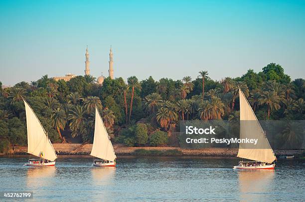 Egyptian Felucca Sailboats Sail On The Nile River Aswan Eygpt Stock Photo - Download Image Now