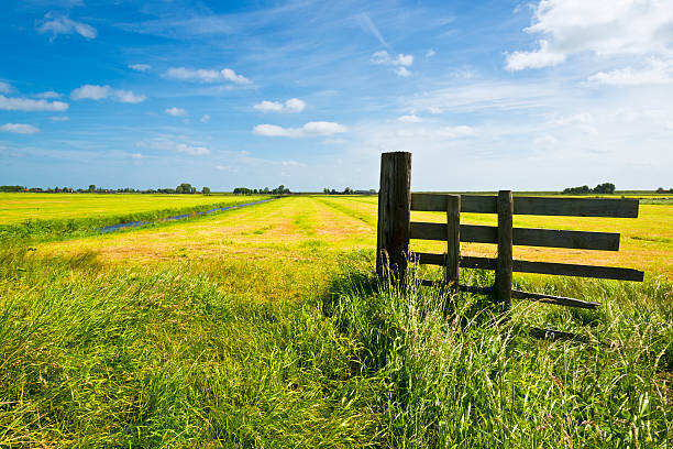 istock Old Wooden Fence 452762381