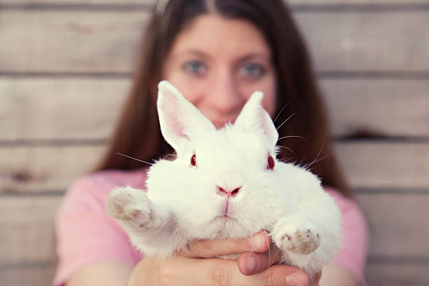 istock Beautiful young woman holding a rabbit 452762777