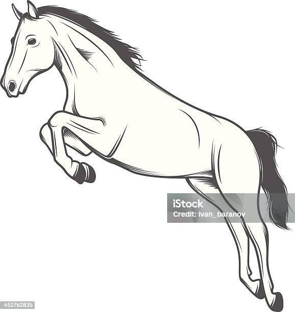 Прыжки Лошади Изолированные На Белом Фоне — стоковая векторная графика и другие изображения на тему Лошадь - Лошадь, Прыгать, Сила