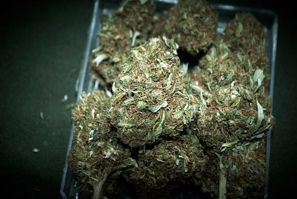 istock Medical Marijuana Detail 452791047