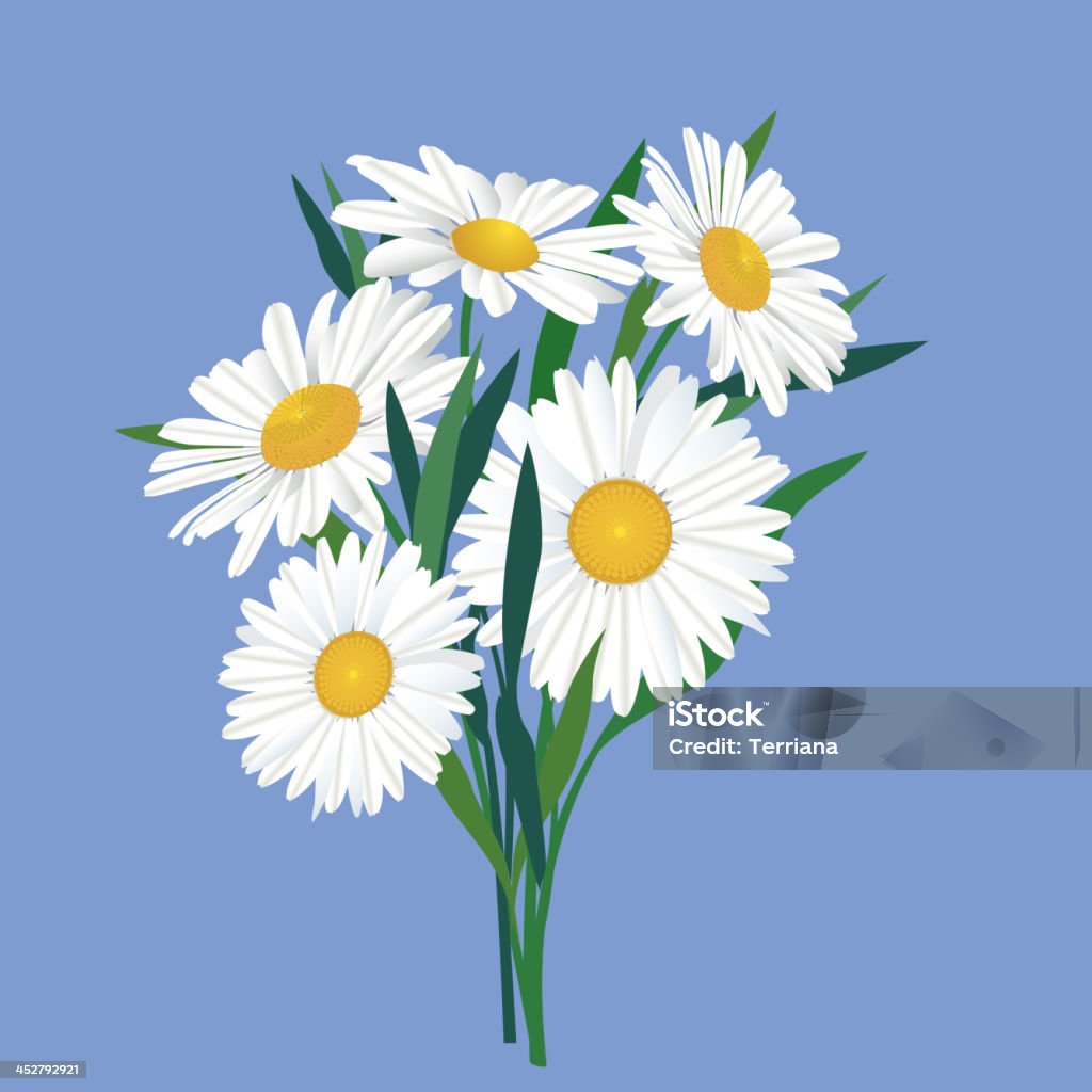 bouquet de fleurs de camomille - clipart vectoriel de Amour libre de droits