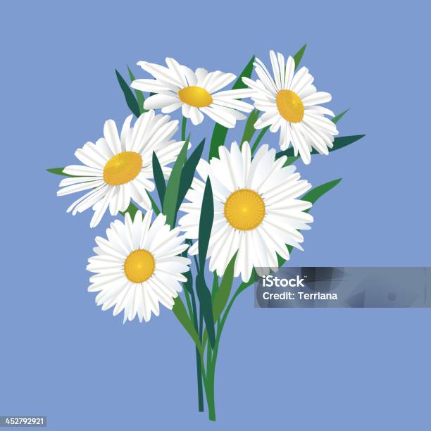 Bouquet De Fleurs De Camomille Vecteurs libres de droits et plus d'images vectorielles de Amour - Amour, Arbre en fleurs, Aromathérapie