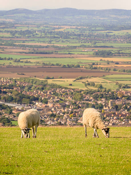 colina de cleeve - hill cotswold grass moor fotografías e imágenes de stock