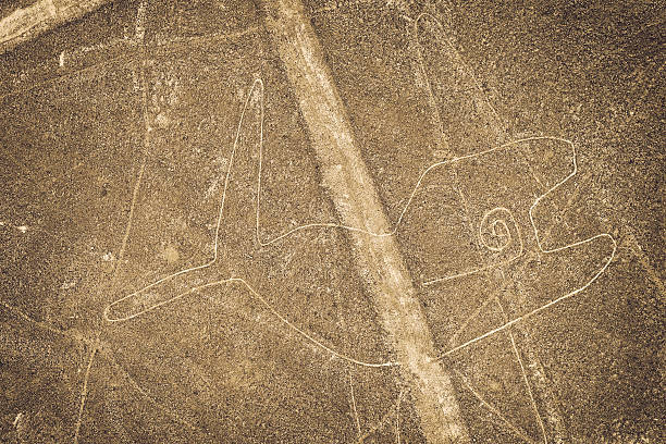 nazca-linien-wal - prehistoric antiquity stock-fotos und bilder