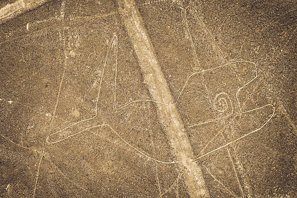 rysunki z nazca-wieloryb - ice texture zdjęcia i obrazy z banku zdjęć
