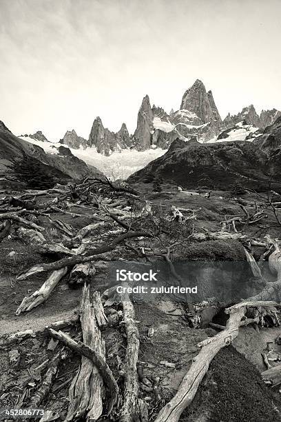 Paisaje En La Patagonia Foto de stock y más banco de imágenes de Aire libre - Aire libre, Argentina, Blanco y negro