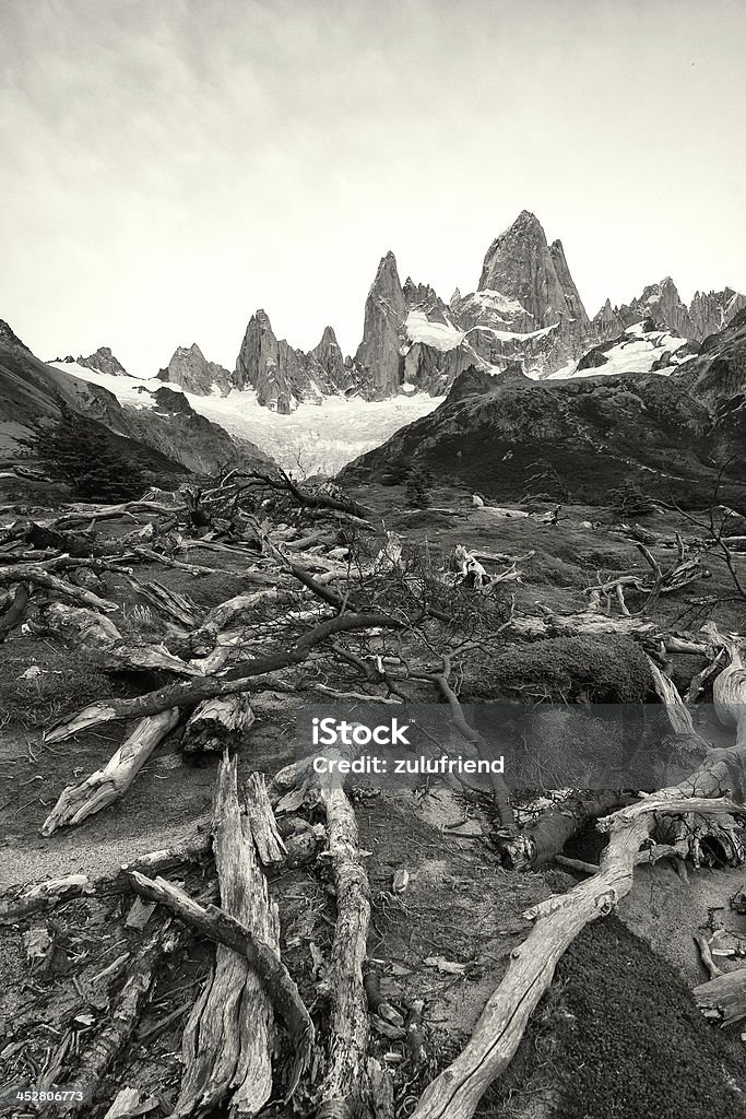 Paesaggi della Patagonia - Foto stock royalty-free di Ambientazione esterna