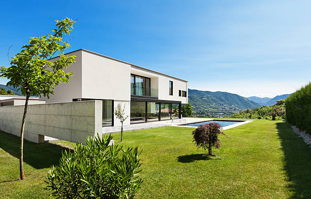 istock White villa with a pool outside and green grass and trees 452839459