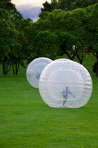 Kids are Zorbing in a Park Kids are rolling in a human hamsterball zorb ball stock pictures, royalty-free photos & images
