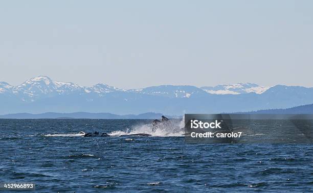 Humbaków Piersią Mountain Range Juneau Alaska Kopiować Miejsca - zdjęcia stockowe i więcej obrazów Bez ludzi