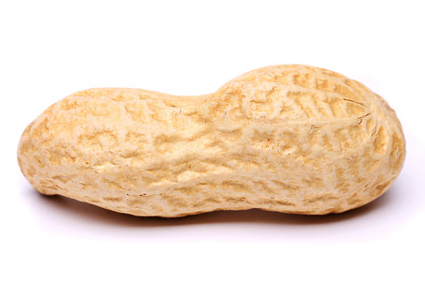 istock Peanut isolated on a white background close up 452968139