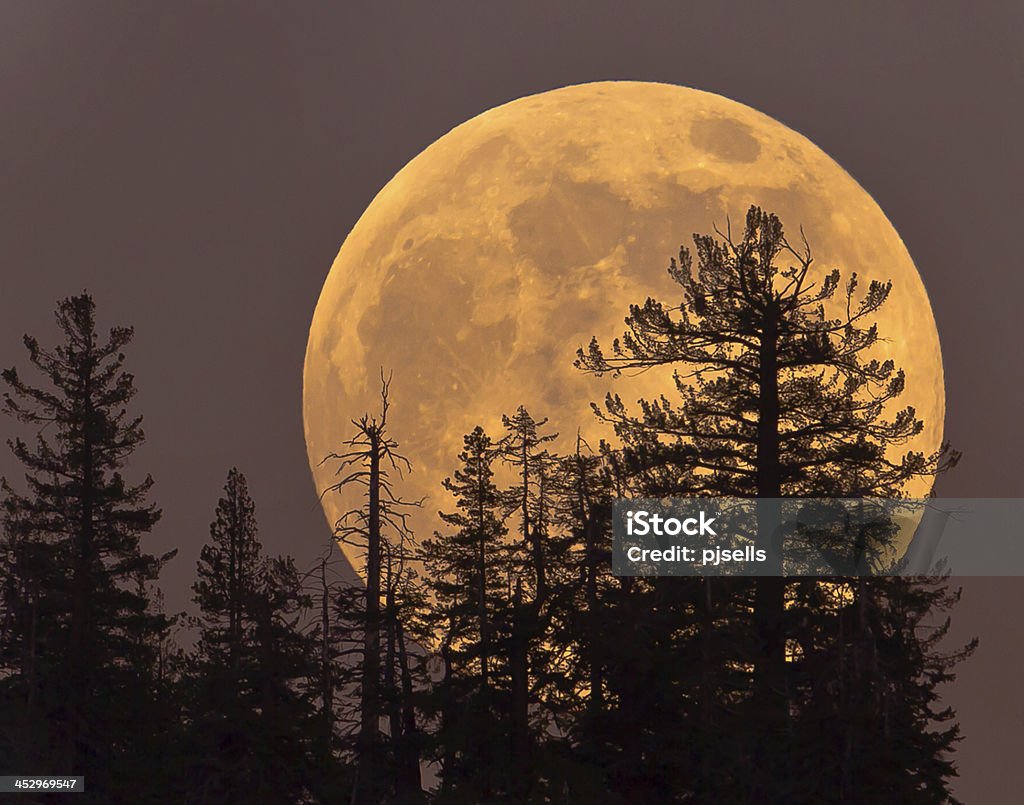 Supermoon Rising Supermoon rising in Yosemite Full Moon Stock Photo