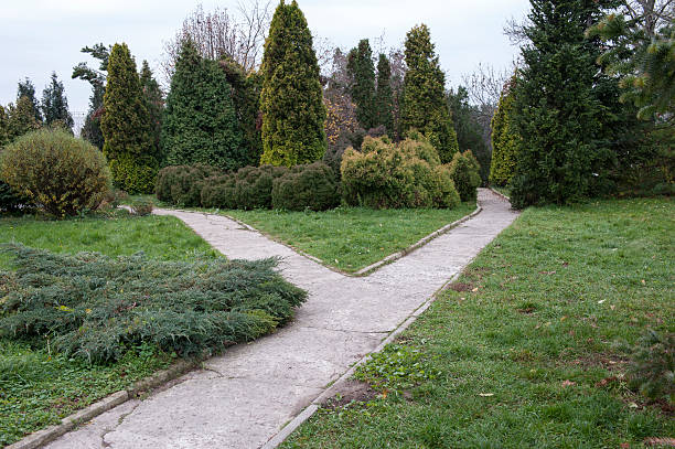 istock In a city park, autumn 452969653