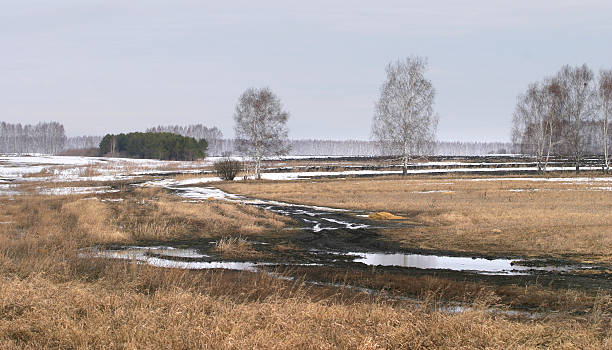 Menzelinsk Stock Photos, Pictures & RoyaltyFree Images iStock