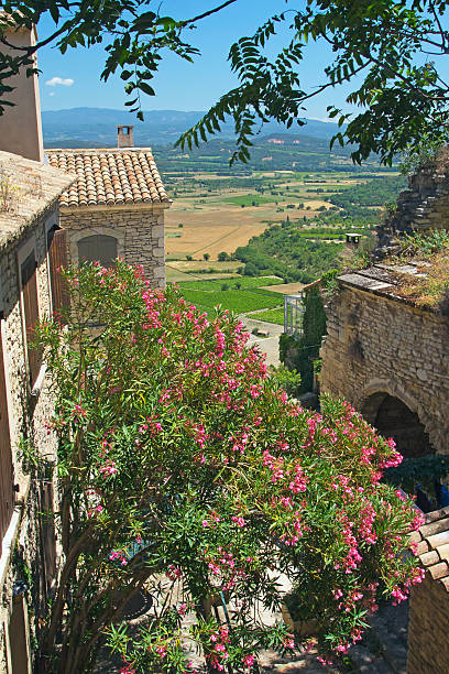 istock View of Provencal countryside. 452974505