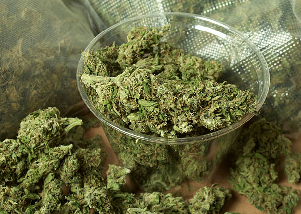 istock Medical Marijuana Detail 452977853