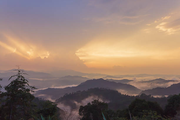 istock Sunset beam on forest after rain storm. 452981579
