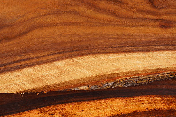 istock Wood for industrial applications. 452983847