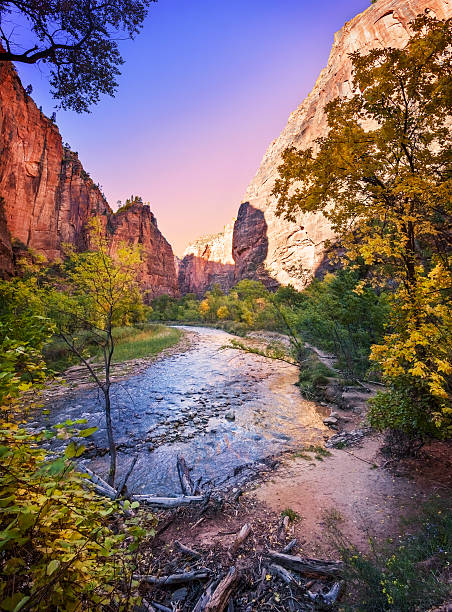 istock Virgin River, Zion National Park 452985537