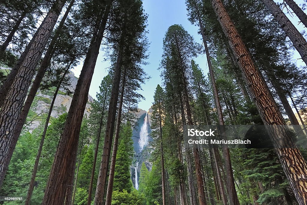 Cascate dello Yosemite - Foto stock royalty-free di Acqua