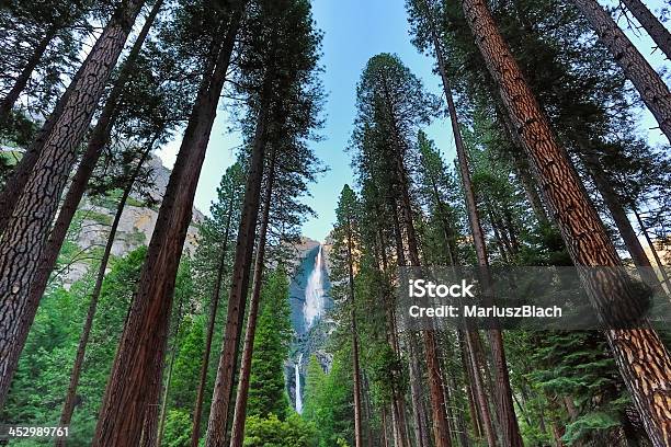 Cascate Dello Yosemite - Fotografie stock e altre immagini di Acqua - Acqua, Ambientazione esterna, Bellezza naturale