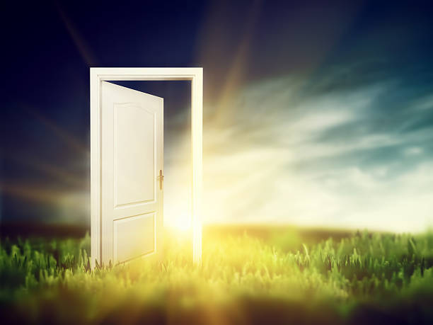 istock Open door on the green field. Conceptual 452989889