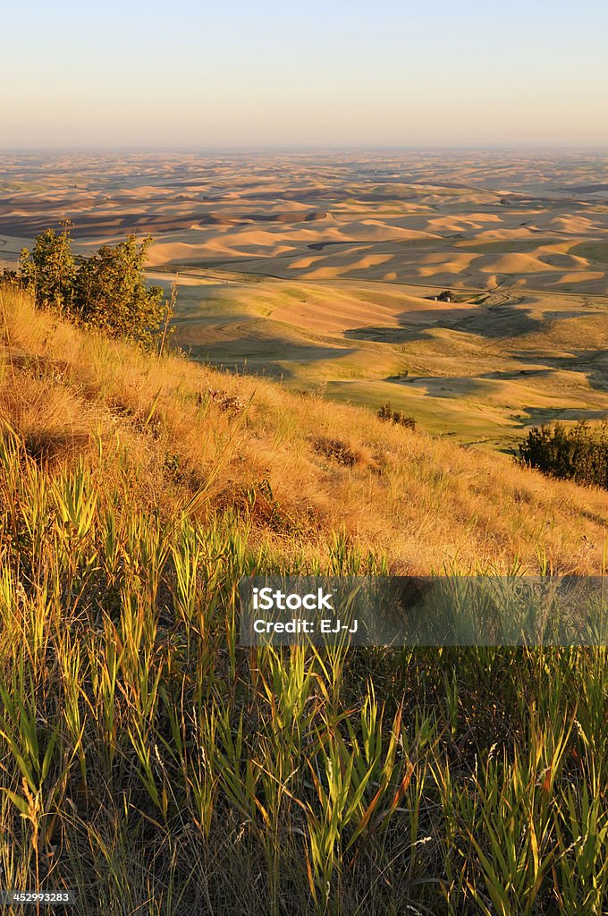 Vista de fazendas de Steptoe Butte - Foto de stock de Agricultura royalty-free
