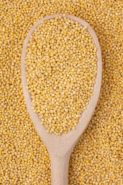 istock Wooden spoon with millet 452994359