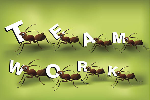 Team Work Spirit Stock Illustration - Download Image Now - Anthill, Ant,  Teamwork - iStock