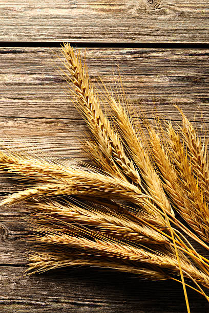 istock Rye spikelets over wooden background 453004171