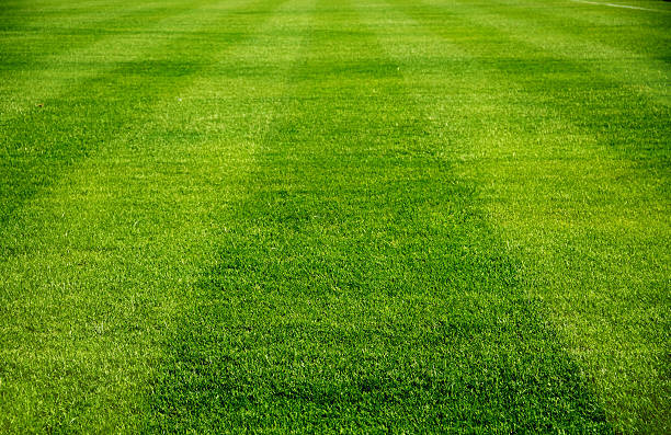 terrain de football - soccer soccer field grass american football photos et images de collection