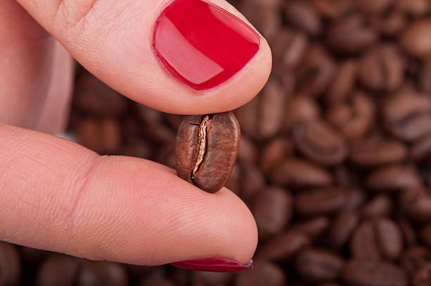 istock woman holding bean 453005177