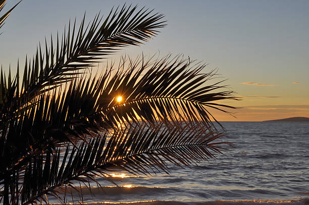 istock Coast of Croatia, sunset 453008613