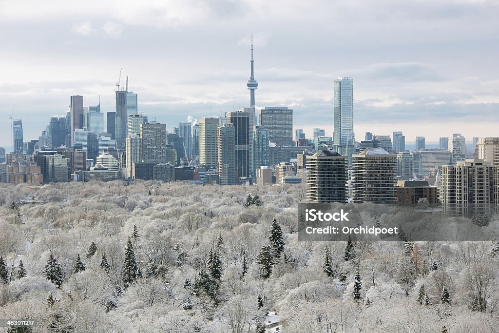 Toronto de invierno - Foto de stock de Toronto libre de derechos