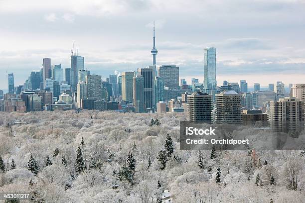 Toronto De Invierno Foto de stock y más banco de imágenes de Toronto - Toronto, Invierno, Nieve